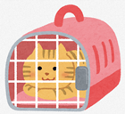 キャリーケースに入った猫