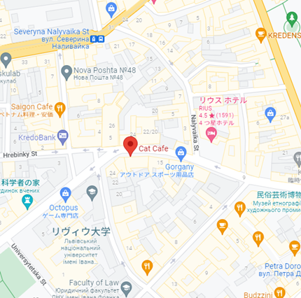 戦火の中でも営業を続けるウクライナの猫カフェ「リヴィヴ」