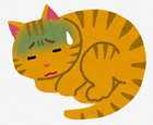 猫の体調不良