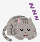 猫睡眠